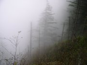 10.28.05 Devil's Rest 067